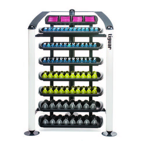 brave dumbbell rack