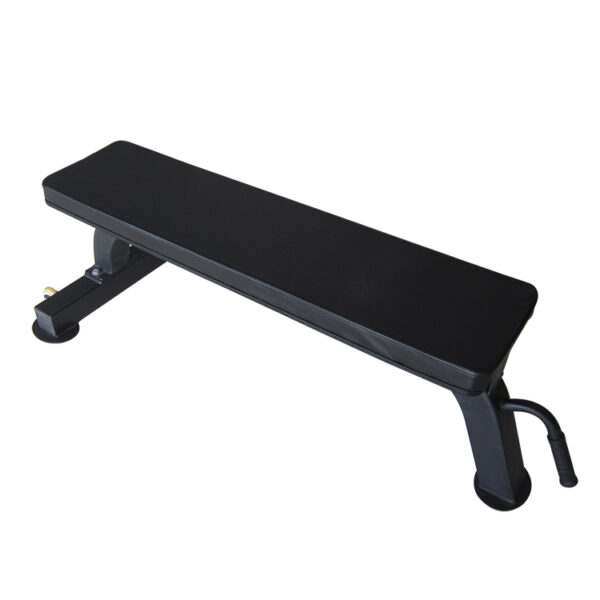 Gym Flat Bench