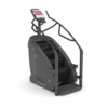 Commercial Stair Machine