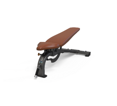 Multiple adjustable training chairs