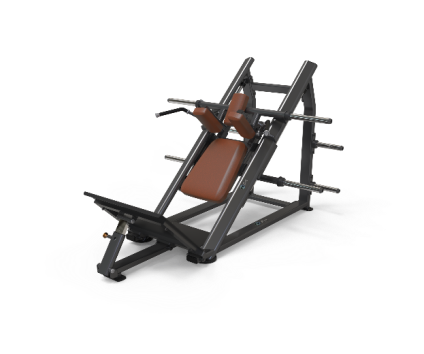 Squat trainer