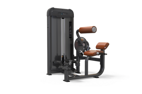 Abdominal / back trainer