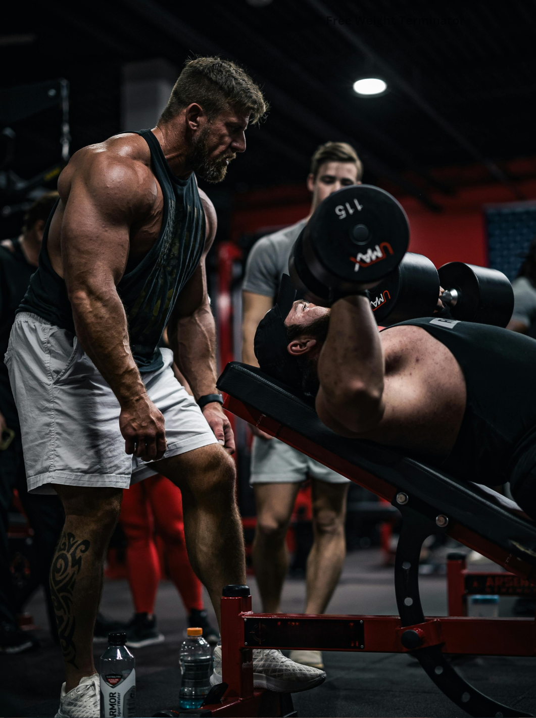 Muscle Dynamics Series