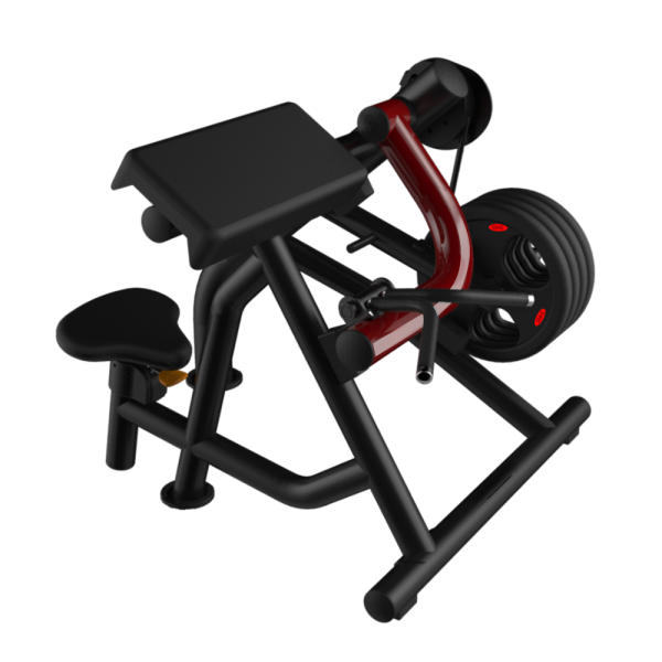 BICEPS CURL