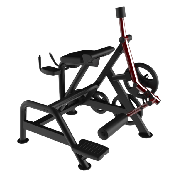 REVERSE HYPEREXTENSION