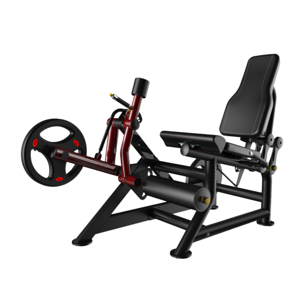LEG EXTENSION