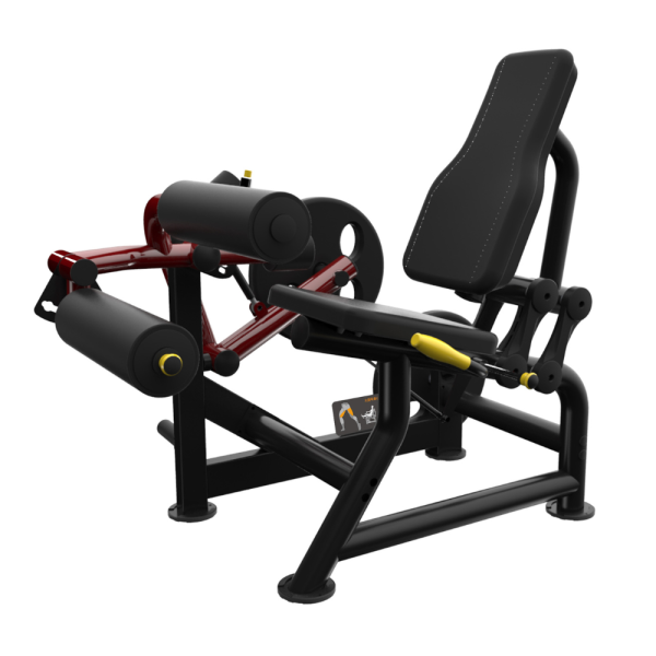SEATED LEG CURL
